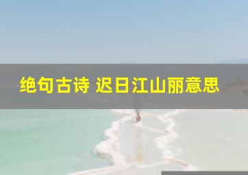 绝句古诗 迟日江山丽意思